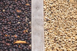 Lavie Plateau Coffee - coffee cherries beans