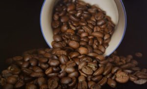 Lavie Plateau Coffee - coffee bean roasted